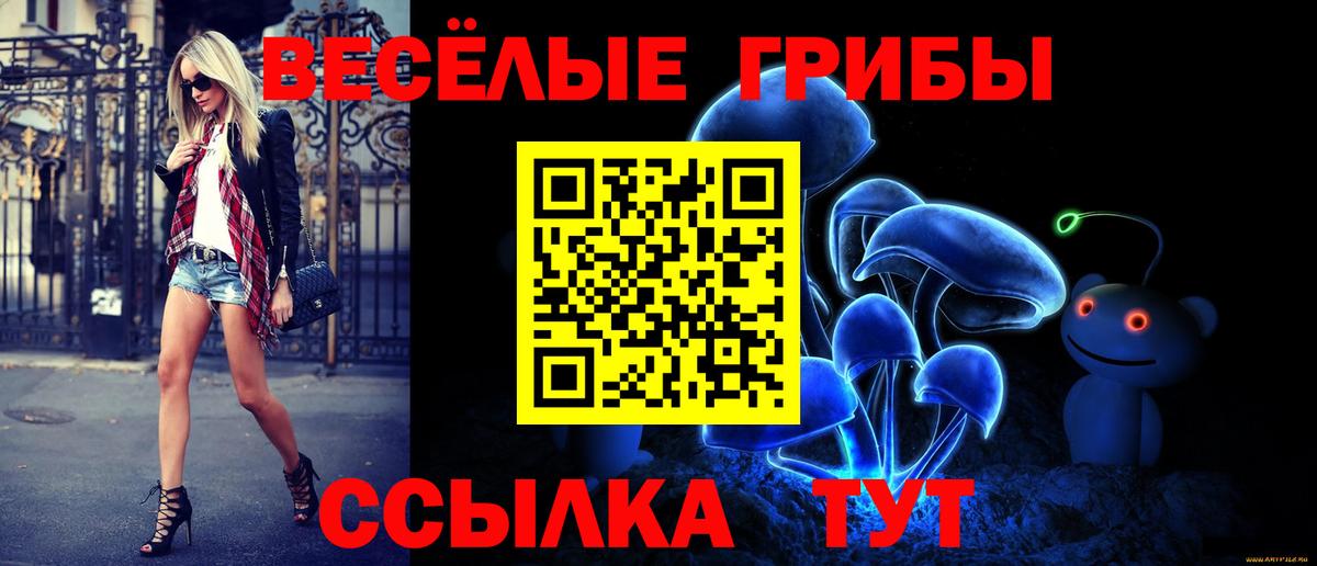 Урай  Псилоцибиновые грибы Psilocybe  Вход с VPN  Псилоцибиновые грибы прущие грибы 